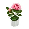 Rosa de Dos Cabezas Escandinava Pequeño Bonsái Flor Artificial Adornos de Decoración para el Hogar Planta Artificial en Maceta Accesorios para Fotografía Flores Artificiales Falsas