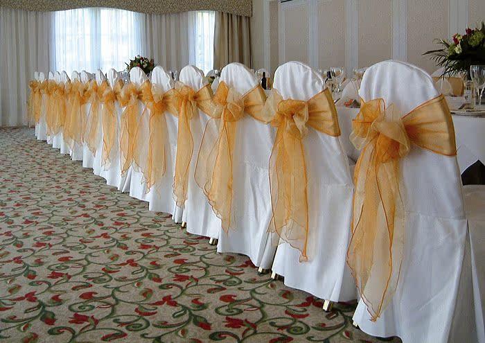 Organza Sash-7013