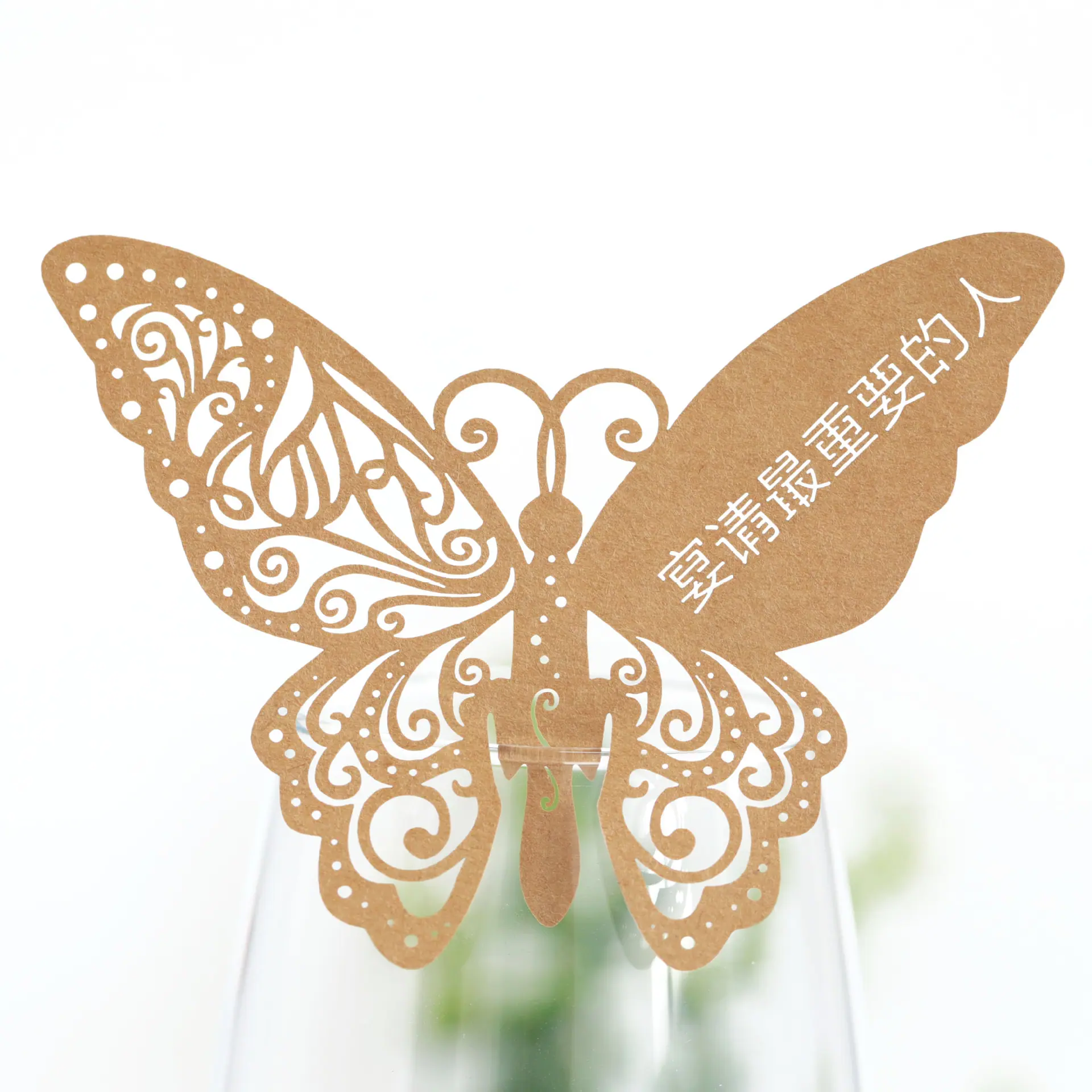 9R3A2907 牛皮纸