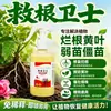 Prevenção de Podridão das Raízes Tipo Universal Suculenta Planta Verde Flor Planta em Vaso Prevenção e Controle Podridão das Raízes Morte da Planta Fungicida para Podridão das Raízes