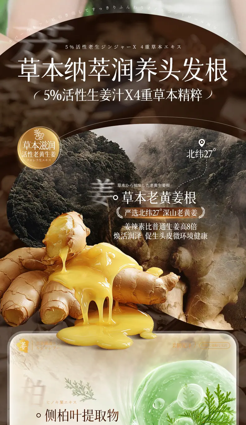 详情4