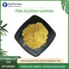 Pólen de Pinho Quebrado 99% Pólen de Pinho Extrato de Flor de Pinho Biológico Elegante 1kg em estoque Fornecimento