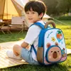 Mochila Infantil para Jardim de Infância, Pequena Mochila de Desenho Animado, Respirável e Leve, para Meninos e Meninas de 3-5 Anos