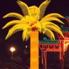Lâmpada LED Paisagem Coqueiro Luz Palmeira Tema Internacional Sonho Luz Festival Decoração Tema Série Árvore Lâmpada