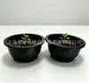 Maceta de plástico para plantas suculentas en blanco y negro, simple, para balcón, maceta de plástico poligonal para exteriores