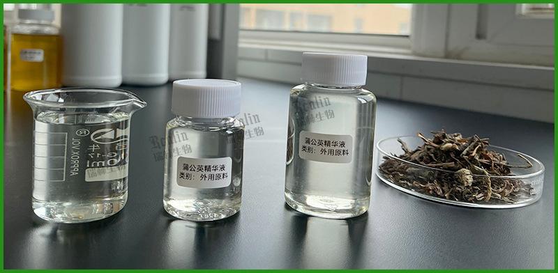 蒲公英精华液3