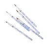 Canetas Manicure de Fábrica Transfronteiriças Atacado Pincéis de Manicure Hastes de Pó Solto 5 Canetas Esculpidas Conjunto de Manicure 5 Canetas Pintadas