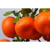 Hilo Naranja Fruta Falsa Modelo de Frutas y Verduras Hogar Rústico Supermercado Centro Comercial Adornos Colgantes de Granja
