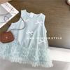 Vestido de Menina Verão Nova Chegada Vestido Princesa para Bebê Estilizado com Laço e Tule Vestido de Fada para Comércio Exterior