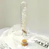 Decoraciones Rama Única Embalaje de Cartón Lujo Ligero Nórdico Tubo de Ensayo de Flor Seca Interior Hecho a Mano Adornos Decoraciones Regalo