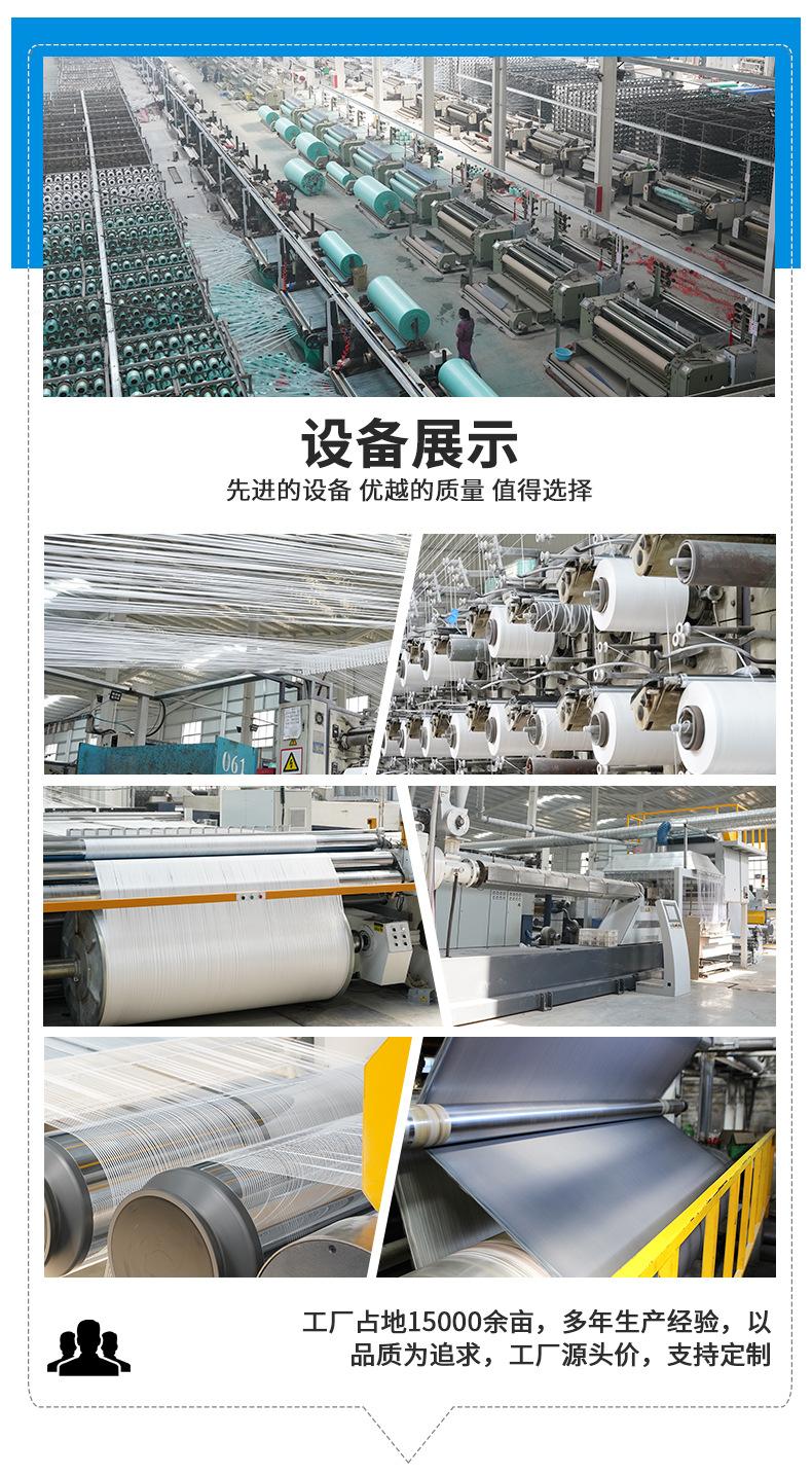 蓝桔_12.jpg