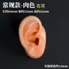 Modelo de ouvido silicone características faciais realistas material didático modelo display aparelho auditivo artificial orelha de prática limpeza de ouvido ensino adulto