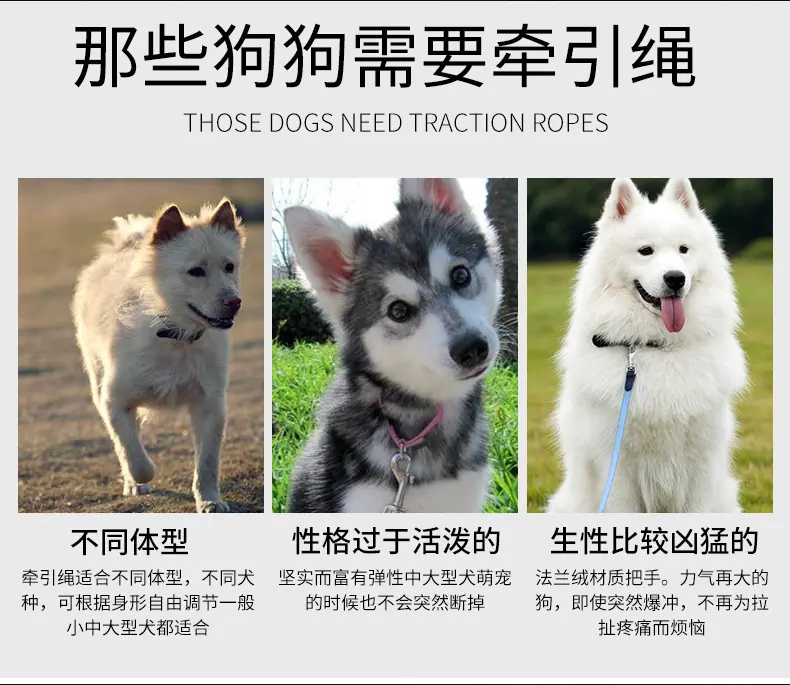 项圈狗链_10
