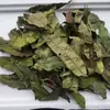 Folhas de Pessegueiro, Galhos e Folhas de Pessegueiro, Folhas de Pessegueiro, Folhas de Pessegueiro Secas Atacado e Entrega