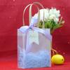 Bolsa transparente de mano para regalo de cumpleaños de niños de preescolar bolsa de regalo vacía para merienda de fiesta de niños de diez años