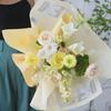 Película de gelatina para danza de mariposas, papel impermeable, papel de regalo para ramo de rosas y flores de mariposa, material de bricolaje, papel de regalo con niebla, fábrica