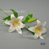 Flor de champán flor artificial diseño de escena de boda europea rosa peonía lirio 9 cabezas phalaenopsis hortensia