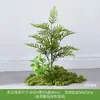 Plantas Verdes Artificiais Atacado Paisagismo Interno Plantas Falsas de Alto Padrão Decoração de Paisagem Aglomerados de Musgo Flores Biônicas Decoração Suave Luz