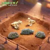 Fósil de Dinosaurio Tyrannosaurus Rex Miniatura en un Terrario: Decoración Creativa DIY, Adorno Colgante y Figura Pequeña de Escritorio