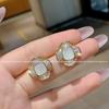 Brincos Novos de Cristal de Flor de Zircônia de Luxo Leve para Mulheres, Brincos da Moda, Design de Nicho Fashion, Brincos de Alto Nível para Mulheres