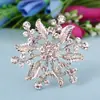 Fábrica al por mayor de broches de lujo con incrustaciones de diamantes de imitación, hojas, cactus, ropa de lujo, AliExpress