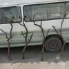 Galhos de Madeira Natural, Troncos de Árvore, Materiais DIY para Suporte de Lâmpada, Enfeites Decorativos, Arame de Ferro Artístico para Paisagismo de Galhos e Troncos de Árvore