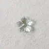 Pétalos de Flor Acrílicos con Agujero Central, Flor de Cinco Pétalos, Brillantes Color Ab Chapado, Horquilla, Pendiente, Colgante y Joyería Hechos a Mano Vintage para DIY