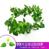 Vime Sintético Folha de Rabanete Verde Trepadeira Flor Artificial Tira de Plástico Decoração de Teto Cobertura para Enrolar Tubo de Água de Ar Condicionado Trepadeira com Folha Verde