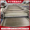 Máquina Limpiadora Automática Paralela de Rodillos para Limpieza de Huevos en Conserva, Zanahorias, y Equipo Limpiador de Rodillos para Frutas y Verduras
