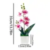 Orquídea Phalaenopsis artificial de 4 flores transfronteriza, bonsái cuadrado para interior, decoración creativa para el hogar, planta verde en maceta, adorno de flor artificial