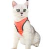 Explosiones Transfronterizas de Amazon Lazada Ropa Caliente para Mascotas Gato Cuerda de Tracción para Gato Correa de Pecho Ultraligera y Cómoda