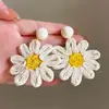 Pendientes grandes de flor estilo vacacional seaside, hierba de rafia, estilo popular, aretes de tachuela de estrella de mar de lujo ligero, pendientes de temperamento de nicho