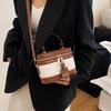Estilo Primavera Bolso Pequeño para Mujer 2025 Nuevo de Moda Bolso Cruzado al Hombro con Cadena Bolso Cuadrado Pequeño Texity