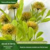 Crisântemo de Ping Pong de Haste Única Arranjo de Flores de Decoração para Casa Estilo Europeu Flor Artificial de Plástico Flor Artificial de Hortênsia Decoração para Casa