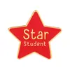 Broche de Estrella de Cinco Puntas Multicolor Insignia de Estudiante Estrella Pin de Recompensa Accesorio de Regalo para Niños