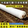 Nuevo Film Agrícola Blanco para Siembra, Film Agrícola Aislante Térmico y Protección contra Heladas Espesado, Película de PE Blanca Transparente para Cultivo de Plántulas