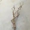 Decoración para Terrario de Reptiles: Caja de Madera con Forma de Serpiente, Pestañas de Lagartija, Plataforma para Trepar Dragón Barbudo, Plataforma Doble para Tomar el Sol, Ramas y Raíces de Madera Muerta con Patrones de Dragón