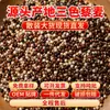 Arroz com Quinoa Três Cores da Fonte, Grãos Integrais de Alta Proteína a Granel, Atacado em Grandes Quantidades, Fornecimento Direto da Origem