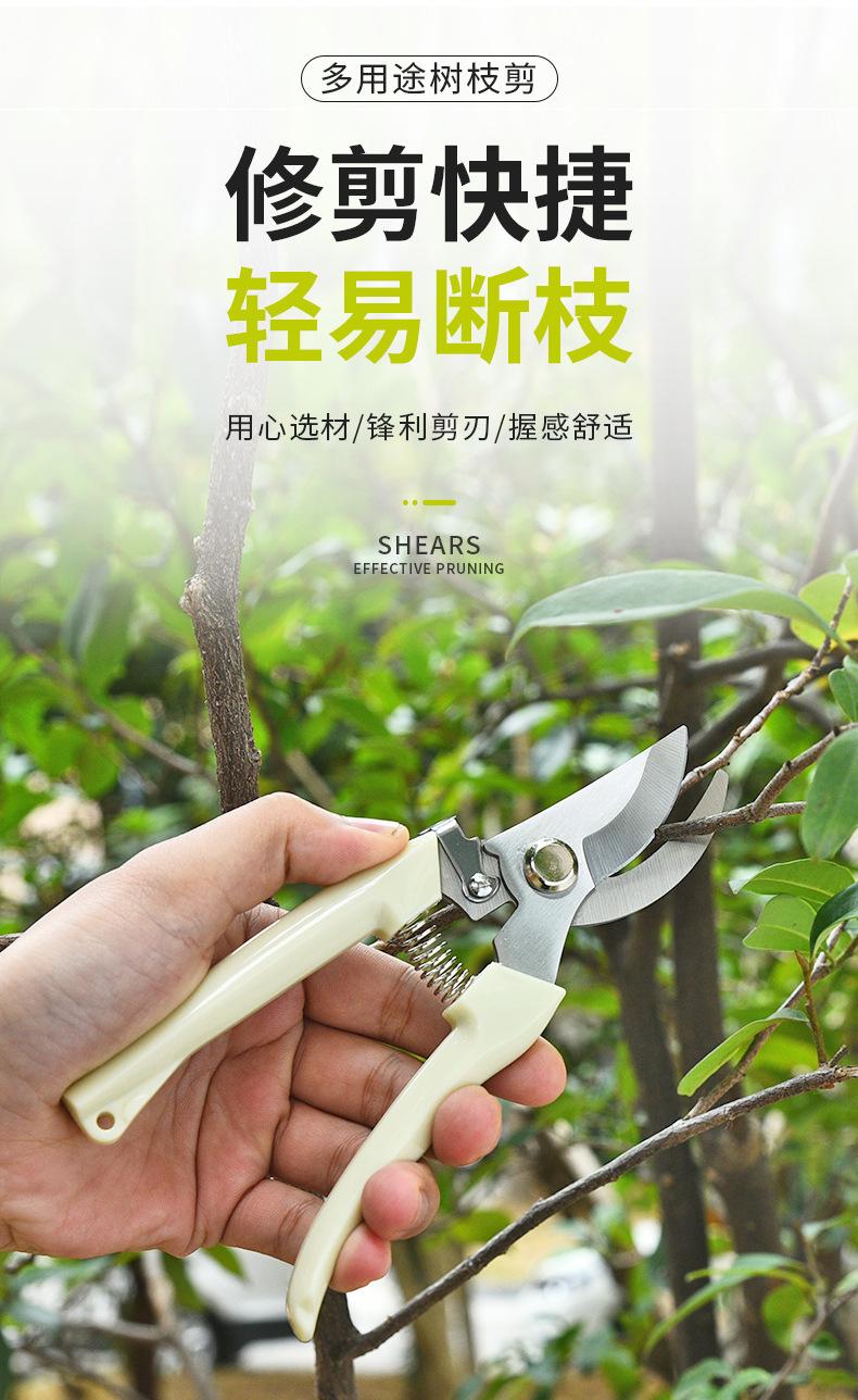 详情图1.jpg