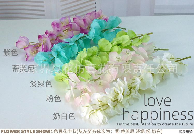 3头豆花紫藤_13.jpg
