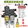 Bomba de Agua para Motor de Aspersora Eléctrica Agrícola de 12V Bomba Autocebante de Alta Potencia Doble Núcleo Accesorios para Máquina Aspersora de Pesticidas de Alta Presión