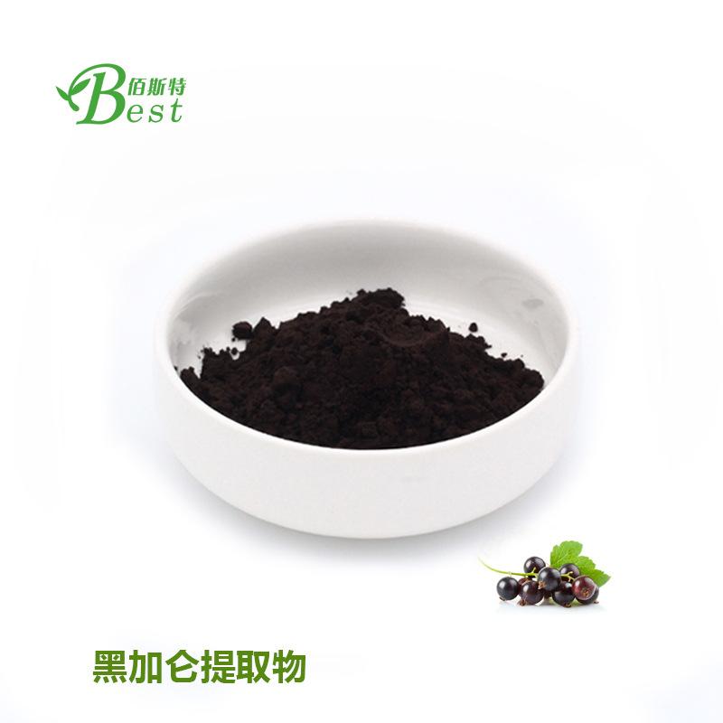 黑加仑