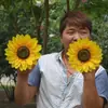 Girassol Girassol Adereços de Dança Flores de Mão Flores para Cerimônia de Abertura de Evento Esportivo Performance de Entrada Coro Flores Artificiais