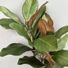 Simulación planta de hoja de magnolia al por mayor jarrón rama de magnolia adornos de camelia planta verde flor de plástico paisajismo arreglo floral decoración