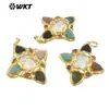 WT-JP379 Perla de Agua Dulce Natural Borde de Cuarzo Chapado en Oro de 18k Colgante Se Puede Usar como Accesorios de Collar