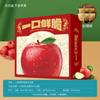 Caja de Embalaje Nueva de Apple Caja de Regalo de Manzanas Luochuan Caja Vacía 5kg Caja Segura para Fruta Caja de Regalo Venta al por Mayor