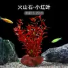 Plantas de Acuario, Decoraciones de Paisajismo con Césped Real, Plantas Aptas para Principiantes, Crisantemo Verde Ciempiés, Plantas de Sombra, Piedra Volcánica, Plantas Verdes Purificadoras de Agua