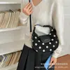 Bolsas de poá da moda, nova coleção outono 2026, bolsas crossbody estilosas, bolsas de ombro elegantes e chiques, bolsas de ombro pequenas