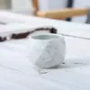 Maceta de suculentas con marmoleado nórdico tipo ladrillo maceta de escritorio para plantas maceta creativa para el hogar maceta barata al por mayor