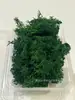 Musgo de Reno Preservado Flor Seca DIY Paisajismo Micro Paisaje, Botella Ecológica, Planta en Maceta de Vidrio, Cubierta de Suelo para Bonsái